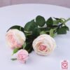 Hoa hồng bất tử cành lá thật – 3 bông 2 Hoa hồng bất tử cành lá thật – 3 bông